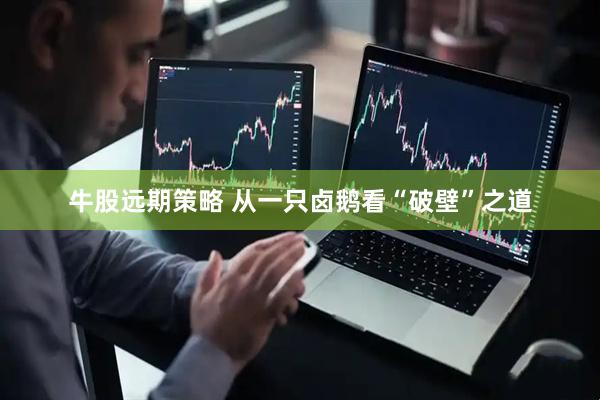 牛股远期策略 从一只卤鹅看“破壁”之道