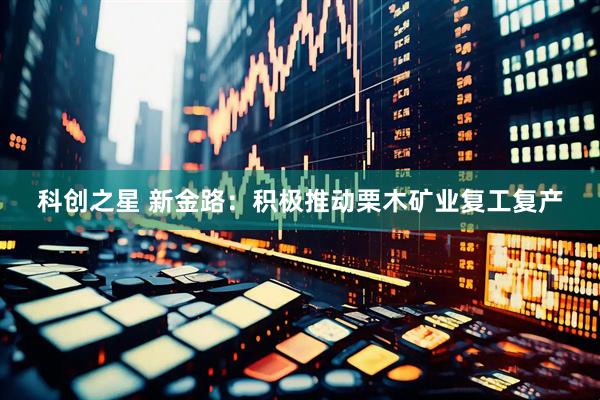 科创之星 新金路：积极推动栗木矿业复工复产