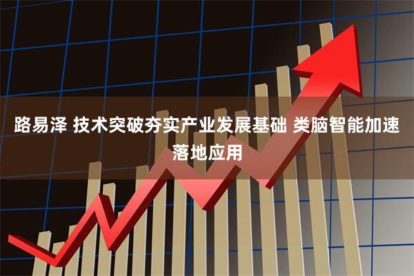 路易泽 技术突破夯实产业发展基础 类脑智能加速落地应用