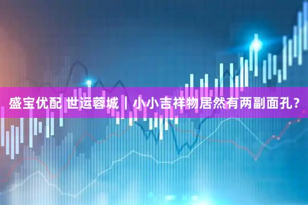 盛宝优配 世运蓉城｜小小吉祥物居然有两副面孔？