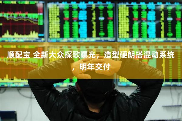 顺配宝 全新大众探歌曝光，造型硬朗搭混动系统，明年交付
