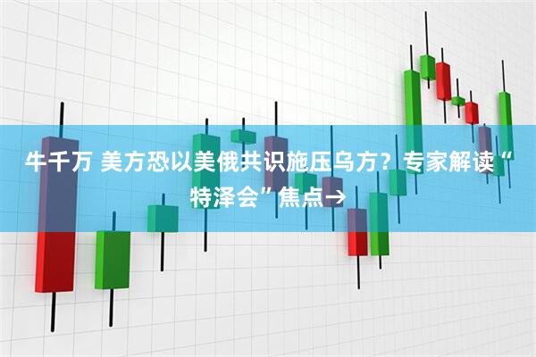 牛千万 美方恐以美俄共识施压乌方？专家解读“特泽会”焦点→